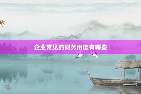 企业常见的财务用度有哪些