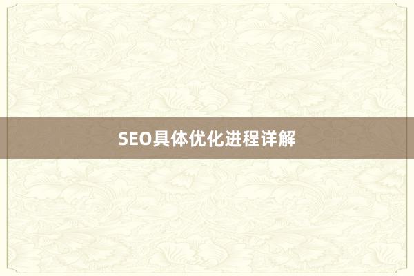 SEO具体优化进程详解