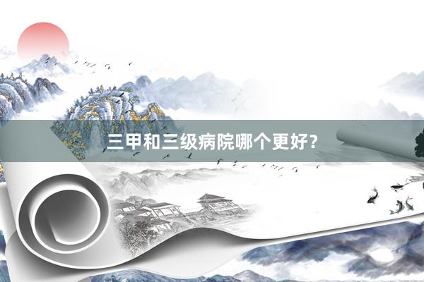 三甲和三级病院哪个更好？